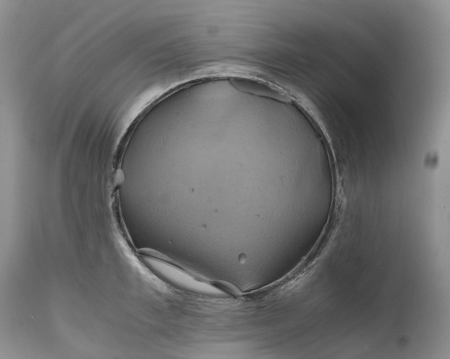 X0000111030997200907091541