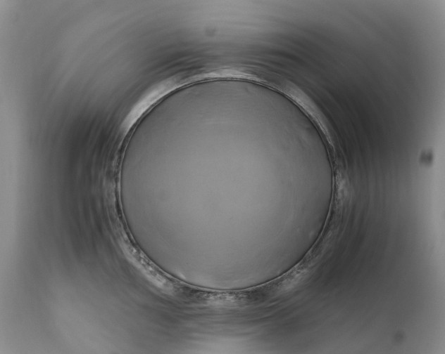 X0000111031002200907091540