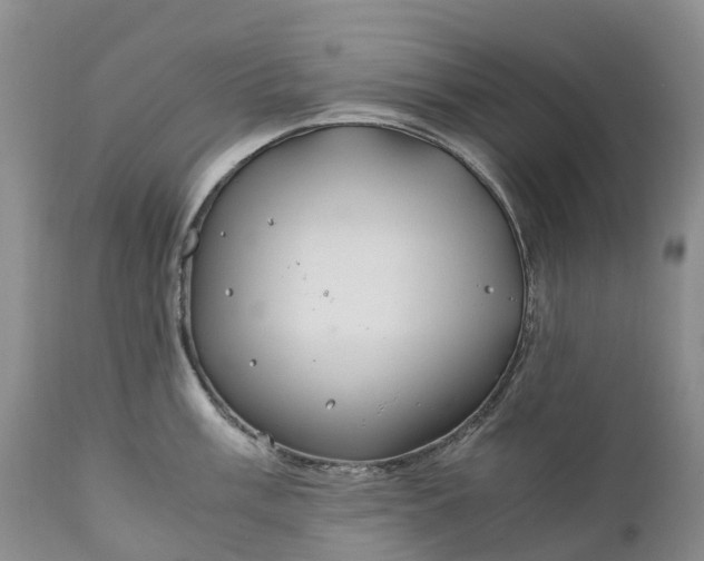 X0000111031003200907091540