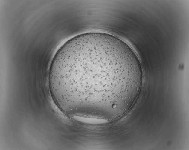 X0000111031004200907091540