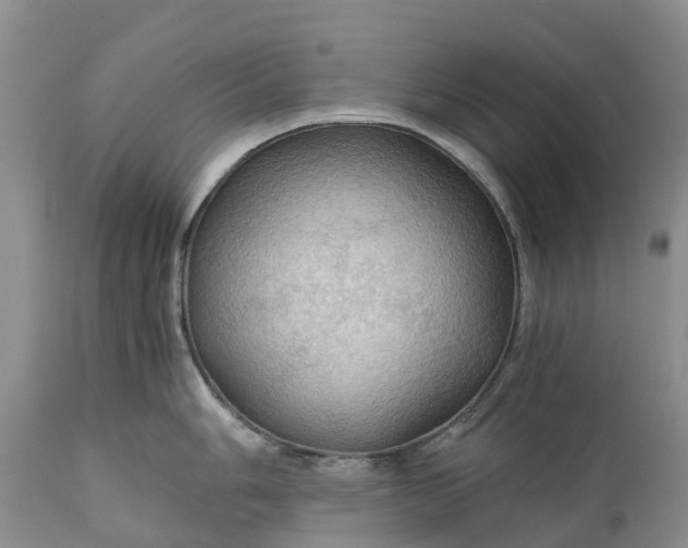 X0000111031006200907091540