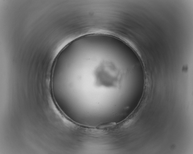 X0000111031007200907091540