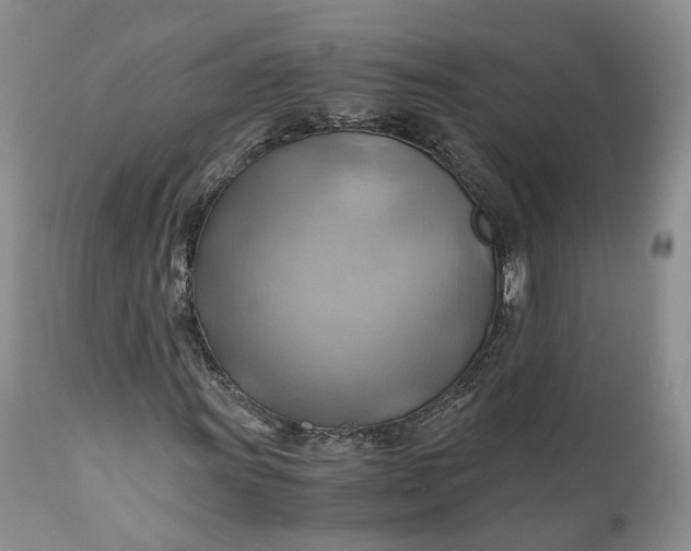 X0000111031011200907091540