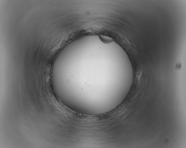 X0000111031012200907091540