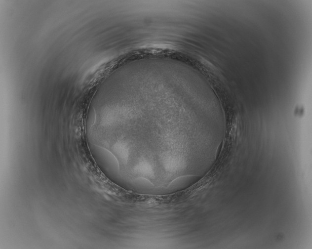 X0000111031014200907091540