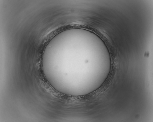 X0000111031015200907091540