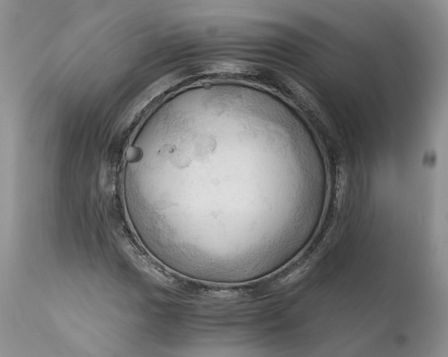 X0000111031017200907091540