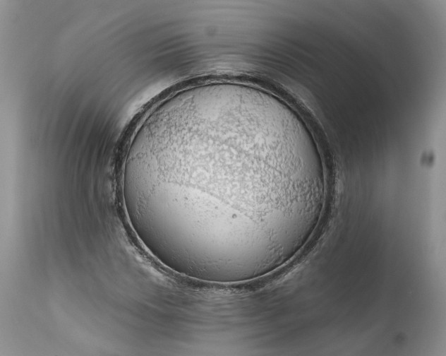 X0000111031018200907091540