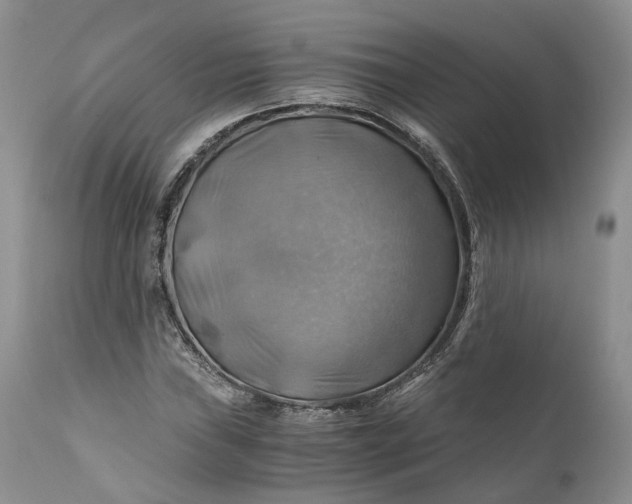X0000111031019200907091540