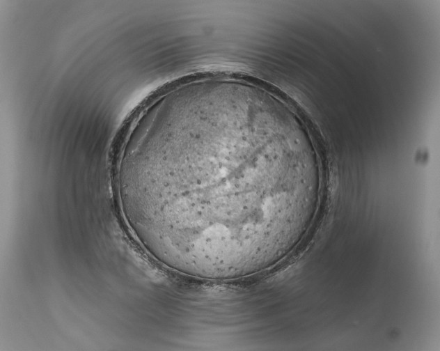 X0000111031022200907091540