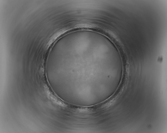 X0000111031025200907091540