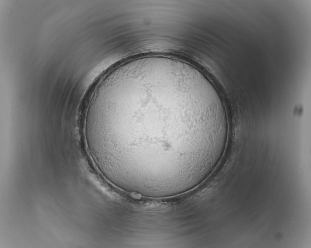 X0000111031026200907091540