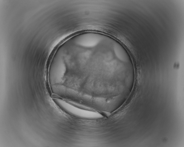 X0000111031028200907091540