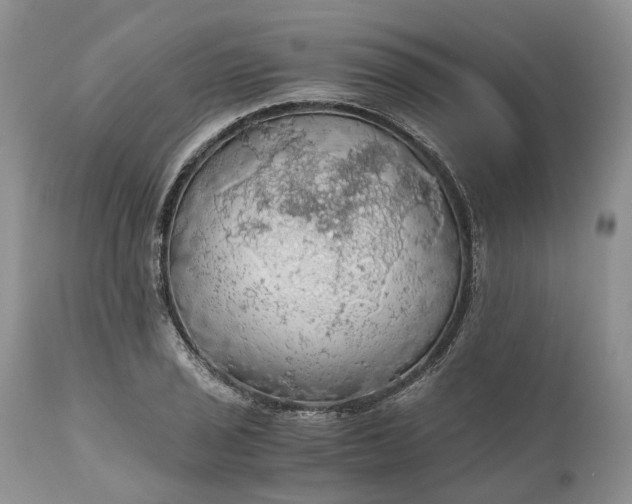 X0000111031029200907091540