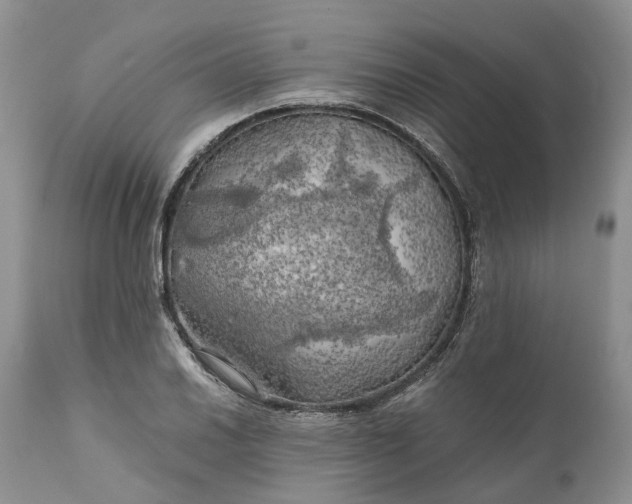 X0000111031030200907091540