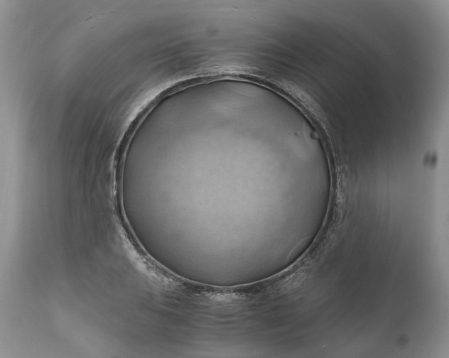 X0000111031031200907091540