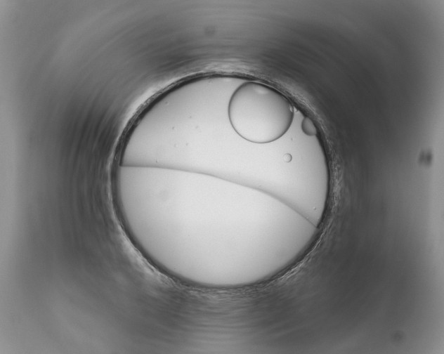 X0000111031032200907091540