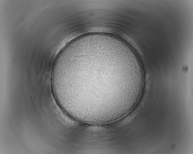 X0000111031033200907091540
