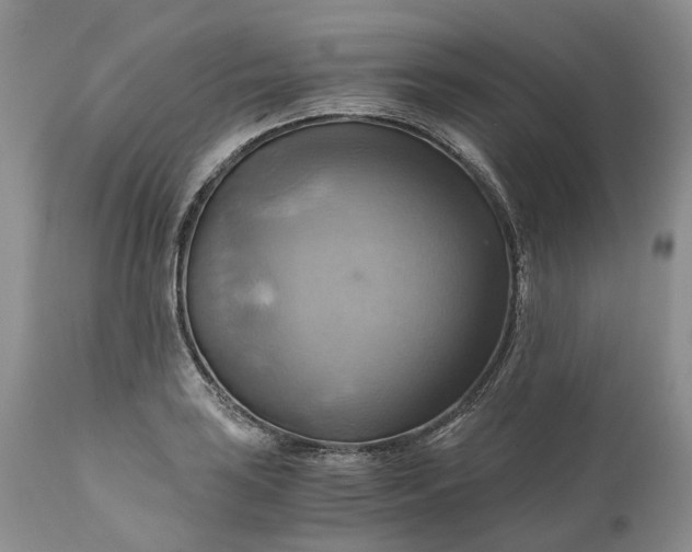 X0000111031035200907091540