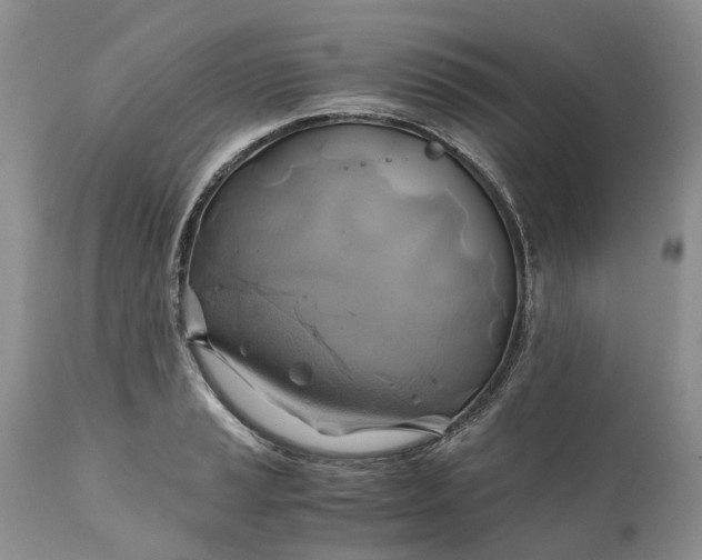 X0000111031037200907091540