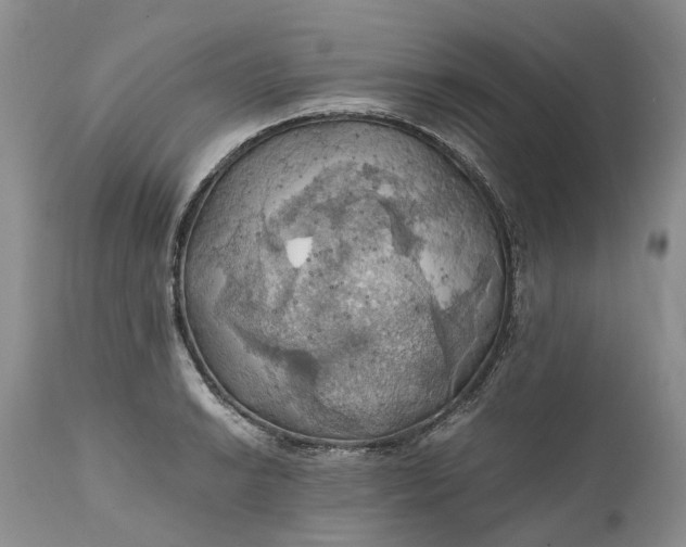 X0000111031038200907091540