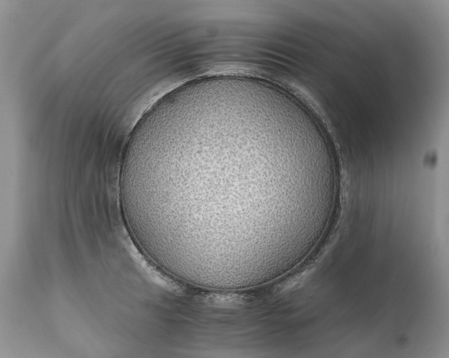 X0000111031041200907091540