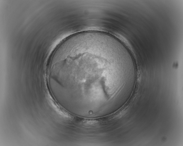 X0000111031043200907091540