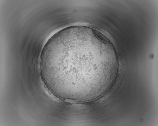 X0000111031044200907091540