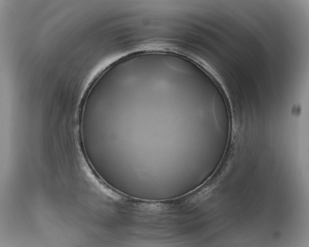 X0000111031045200907091540