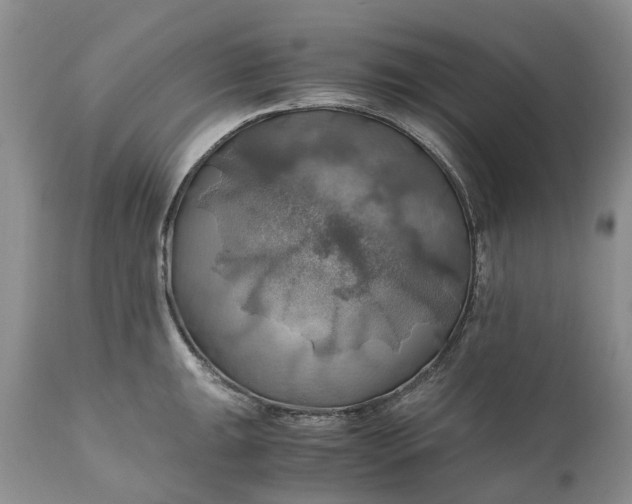 X0000111031047200907091540