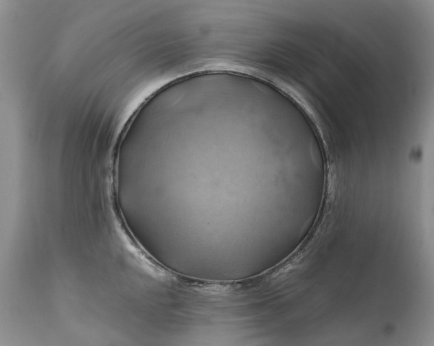 X0000111031048200907091540
