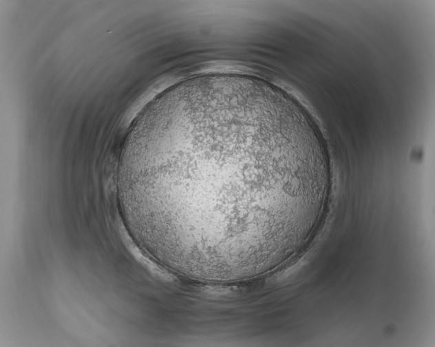 X0000111031049200907091540