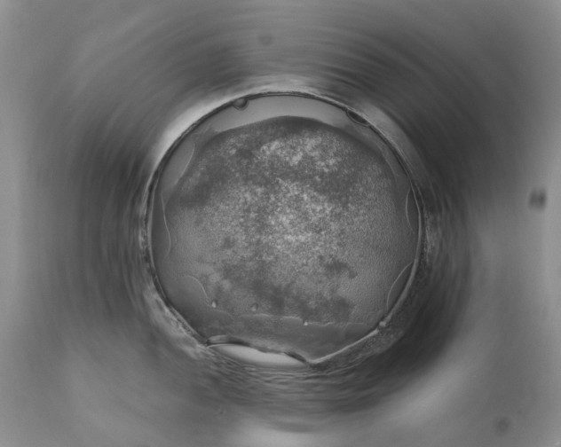 X0000111031052200907091540