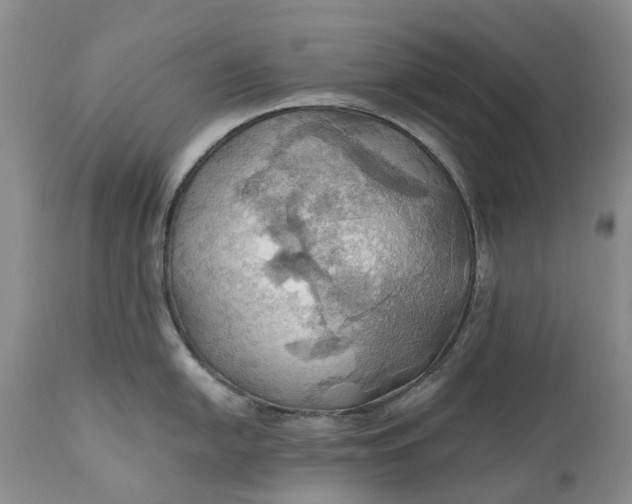 X0000111031054200907091540