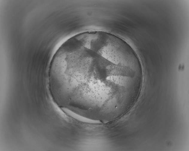 X0000111031056200907091540