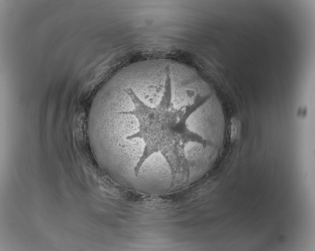 X0000111031059200907091540