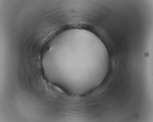 X0000111031060200907091540