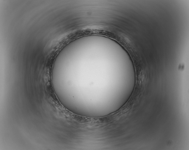 X0000111031062200907091540