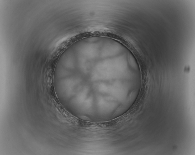 X0000111031063200907091540