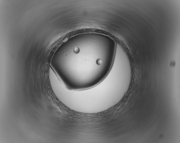 X0000111031064200907091540