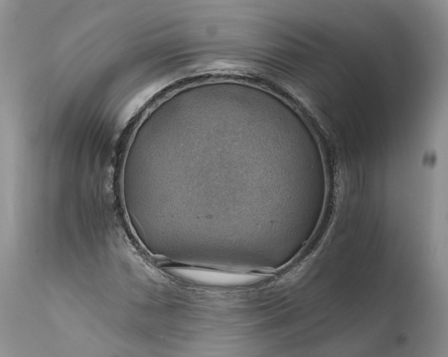 X0000111031066200907091540