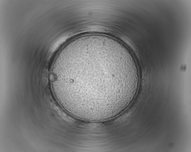 X0000111031067200907091540