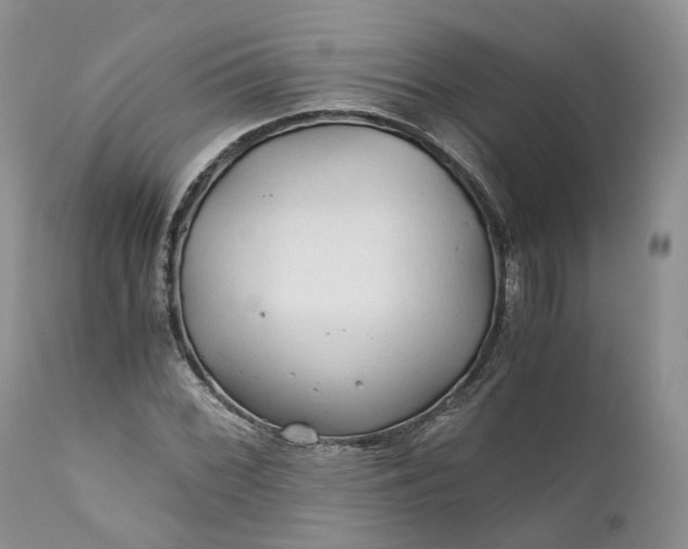 X0000111031068200907091540