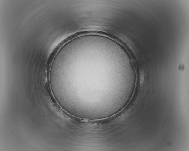 X0000111031069200907091540