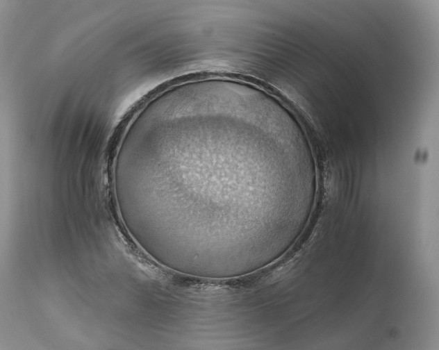 X0000111031070200907091540