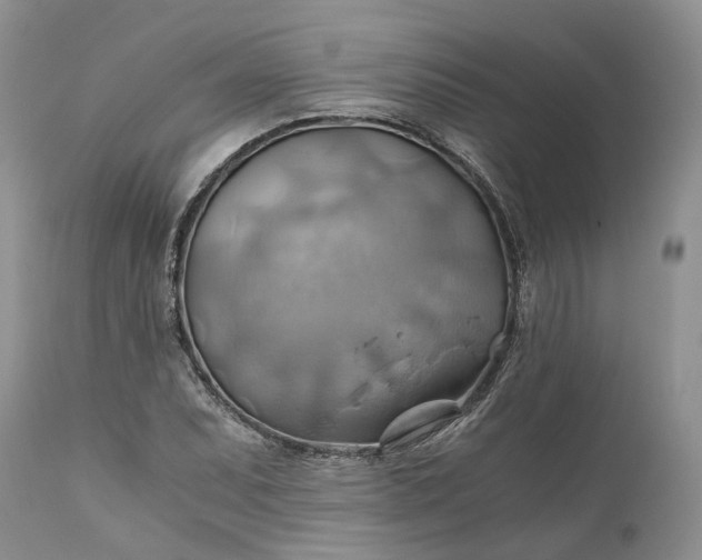 X0000111031071200907091540