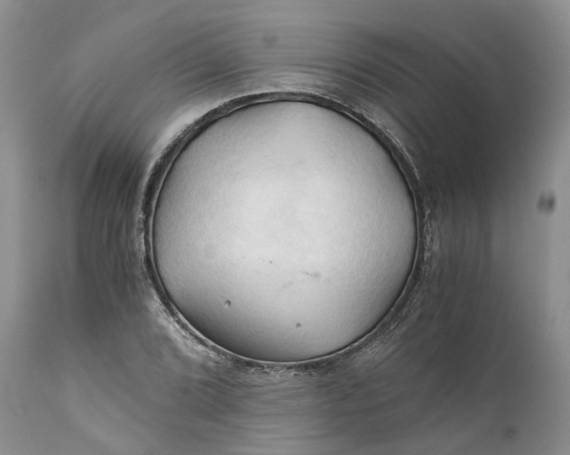 X0000111031072200907091540