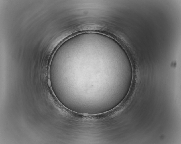 X0000111031073200907091540