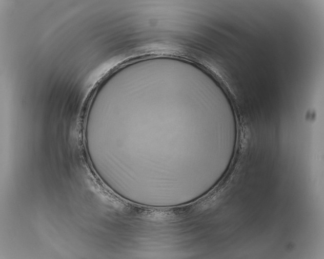 X0000111031074200907091539