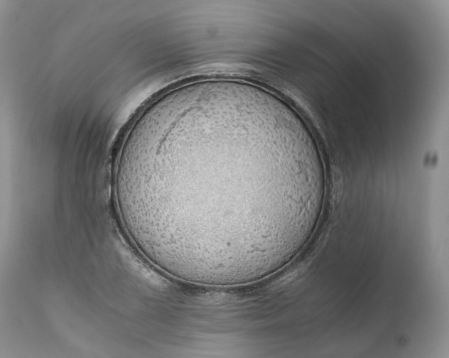 X0000111031075200907091539
